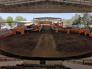 Lienzos Charros