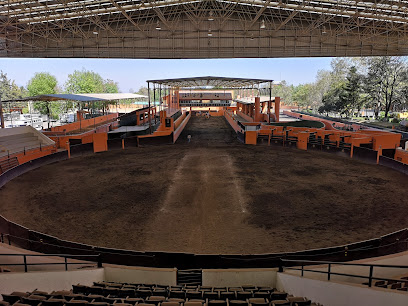 Lienzos Charros